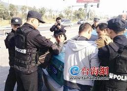 偷南瓜最新爆料新闻事件,真相揭秘，嫌疑人落网  第2张